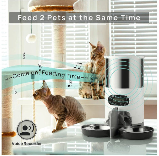 Automatic Double Meal Pet Feeder