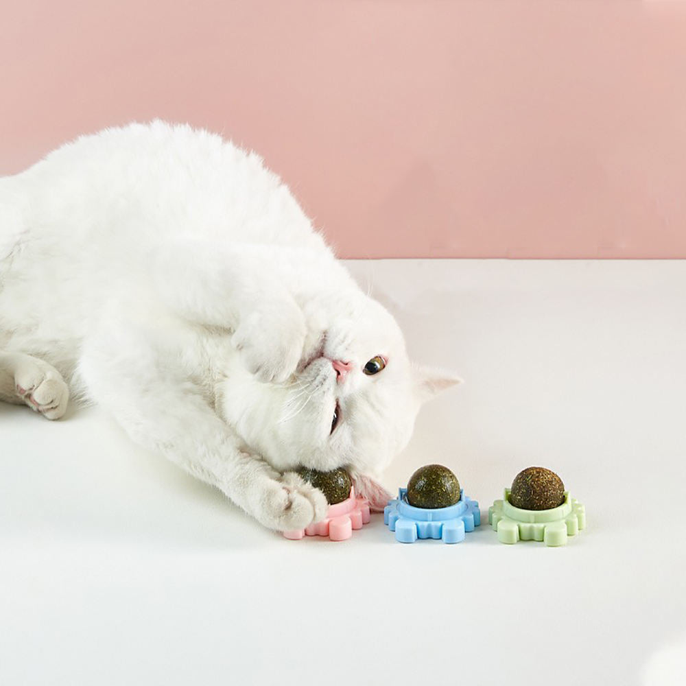 Crab Catnip Rotating Ball Molar Teeth Cleaning Happy Interactive Cat Toy